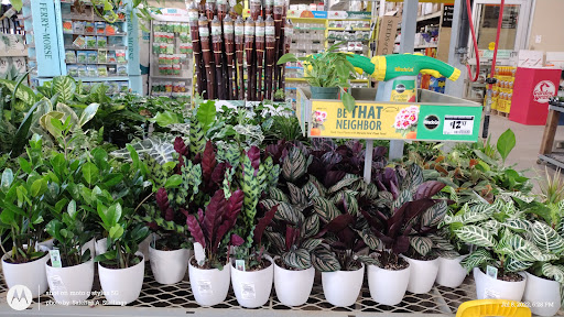 Home Improvement Store «The Home Depot», reviews and photos, 1955 E Pacheco Blvd, Los Banos, CA 93635, USA