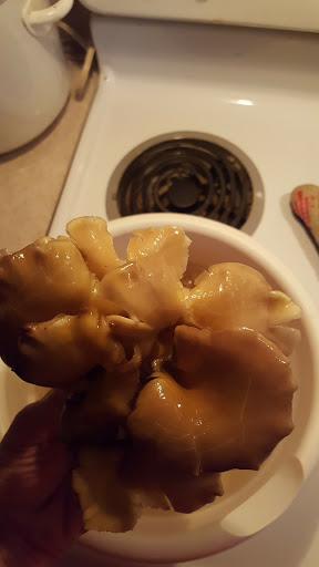 Discount Store «Dollar General», reviews and photos, 633 E Lincolnway, Morrison, IL 61270, USA