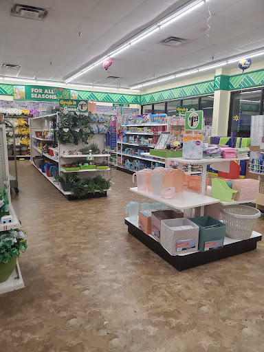 Dollar Store «Dollar Tree», reviews and photos, 7003 Concourse Pkwy q, Douglasville, GA 30134, USA