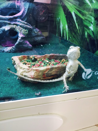 Pet Supply Store «PetSmart», reviews and photos, 5591 TN-153, Hixson, TN 37343, USA