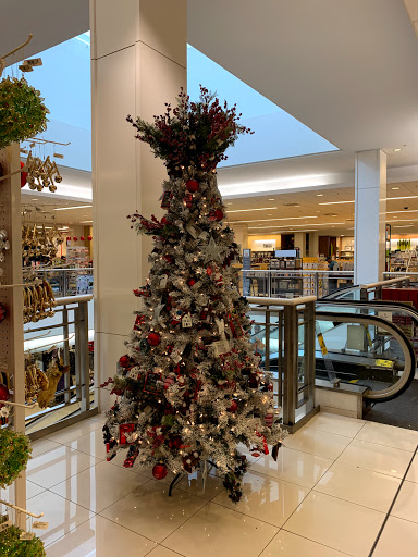 Clothing Store «Hollister Co.», reviews and photos, 8888 SW 136th St #550, Miami, FL 33176, USA