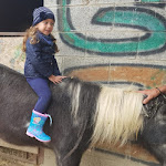 Photo n°1 de l'avis de Pietro.a fait le 04/10/2020 à 18:46 sur le  Settimo Cielo - à Borgonovo Val Tidone