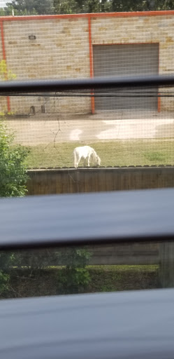 Roofing Contractor «Allstate Contracting, LLC», reviews and photos, 12424 Mile Dr, Houston, TX 77065, USA