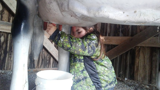 Farm «Bottom View Farm», reviews and photos, 185 Wilkerson Ln, Portland, TN 37148, USA