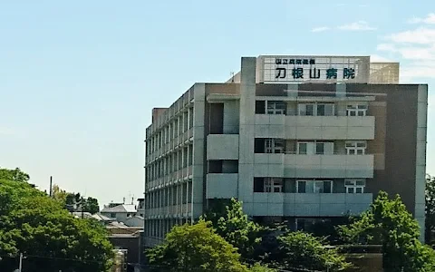Osaka Toneyama Medical Center image