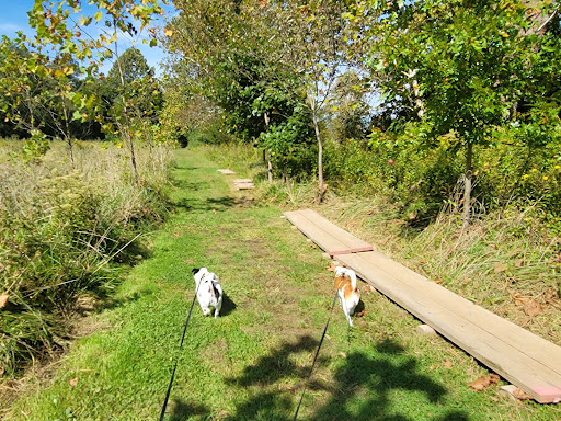 Nature Preserve «Cool Spring Preserve», reviews and photos, 1469 Lloyd Rd, Charles Town, WV 25414, USA