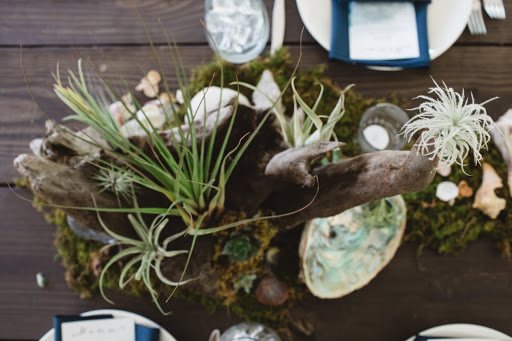 Florist «Stargazers Floral Designs», reviews and photos, 347 New Leicester Hwy #A, Asheville, NC 28806, USA