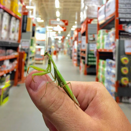 Home Improvement Store «The Home Depot», reviews and photos, 860 S Colorado Blvd, Glendale, CO 80246, USA