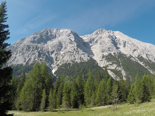 Office Supply Store «OfficeMax», reviews and photos, 2860 Willamette St, Eugene, OR 97405, USA