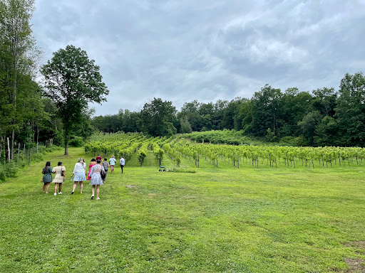 Vineyard «Clearview Vineyard», reviews and photos, 35 Clearview Ln, Warwick, NY 10990, USA
