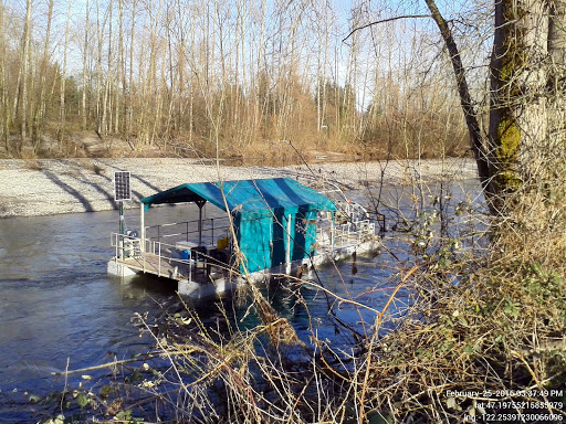 Golf Club «Linden Golf & Country Club», reviews and photos, 2519 E Main Ave, Puyallup, WA 98372, USA