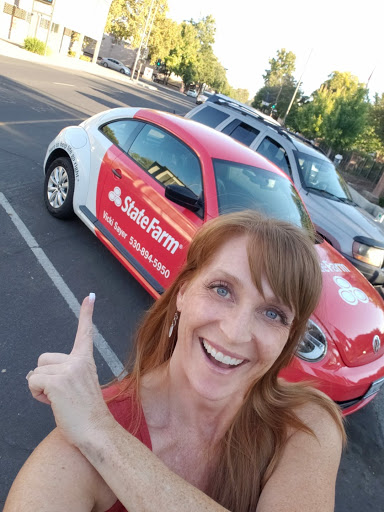 Vicki Sayer - State Farm Insurance Agent image