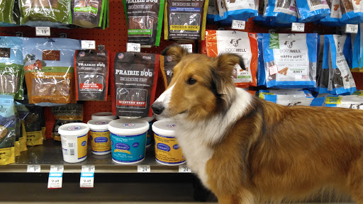 Pet Supply Store «Petco Animal Supplies», reviews and photos, 2714 Mountaineer Blvd, Charleston, WV 25309, USA