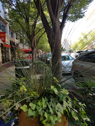 Book Store «Barnes & Noble», reviews and photos, 4801 Bethesda Ave, Bethesda, MD 20814, USA