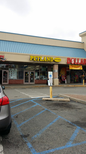 Petland Discounts - SpringField Gdn, 13440 Springfield Blvd, Jamaica, NY 11413, USA, 
