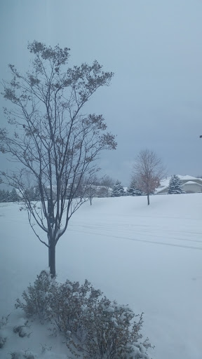 Public Golf Course «Oak Marsh Golf Course», reviews and photos, 526 Inwood Ave N, Oakdale, MN 55128, USA