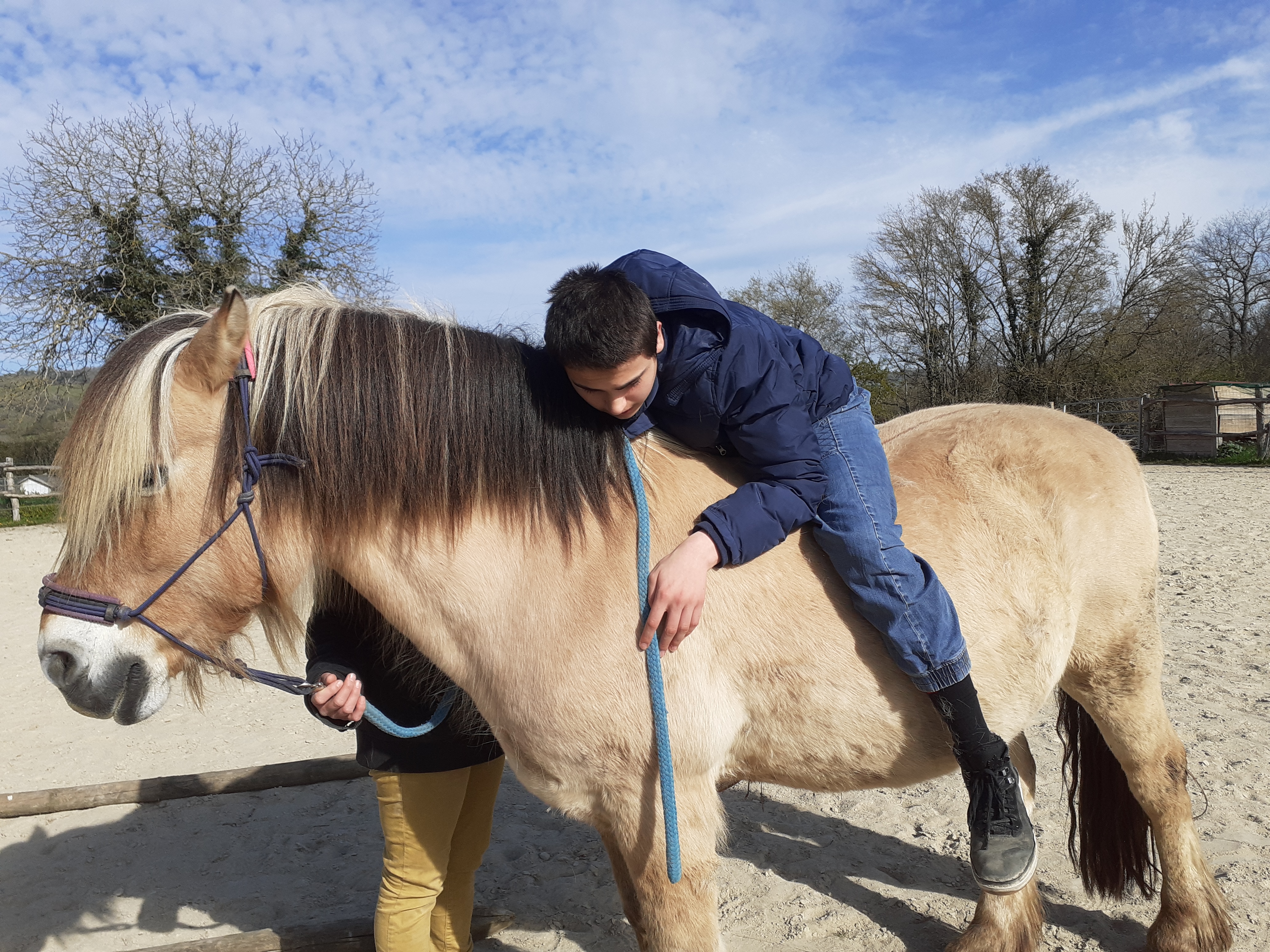 Photo n° 1 de l'avis de BOUCKAERT.N fait le 09/04/2021 à 13:10