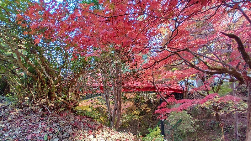 養父神社 社務所・神札授与所