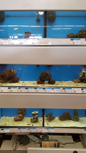 Pet Supply Store «Petco Animal Supplies», reviews and photos, 11398 Bandera Rd #403, San Antonio, TX 78250, USA