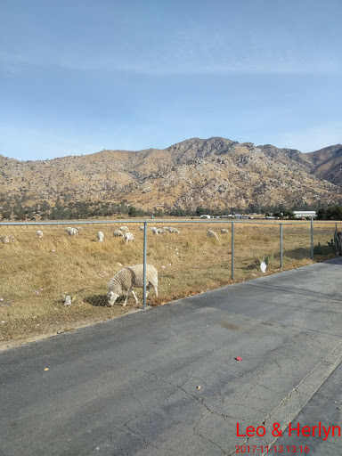 Grocery Store «Vons», reviews and photos, 5610 Lake Isabella Blvd, Lake Isabella, CA 93240, USA