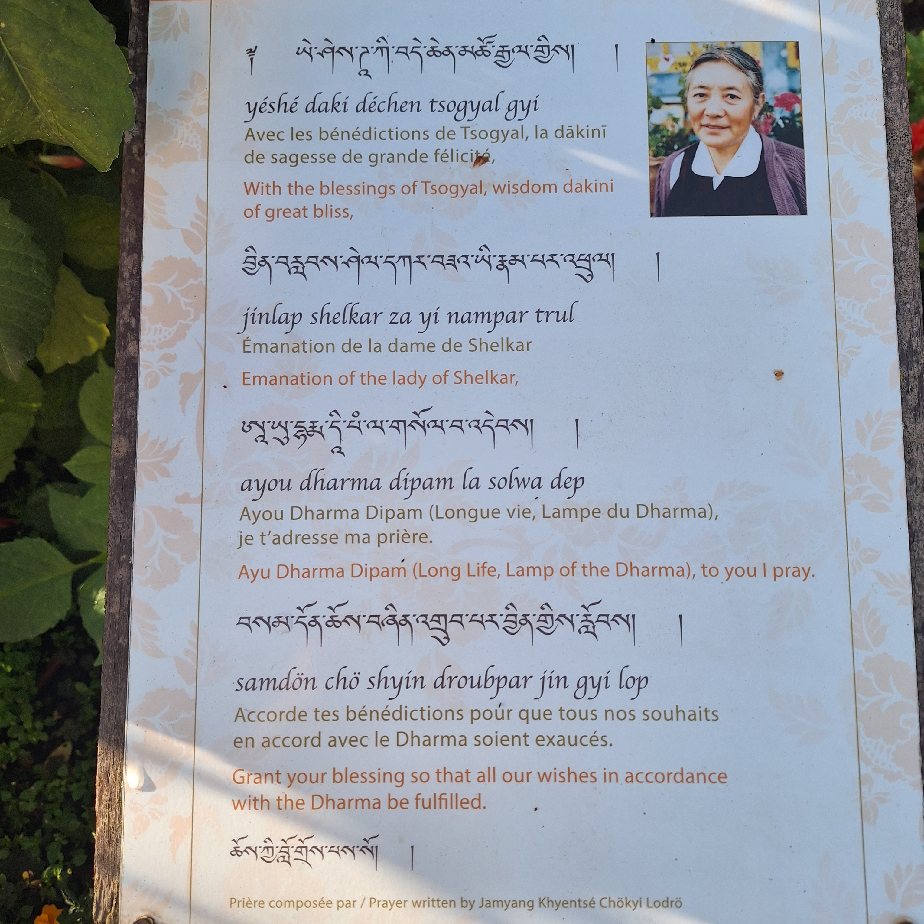 Photo n° 16 de l'avis de Nadine.H fait le 15/10/2023 à 21:15