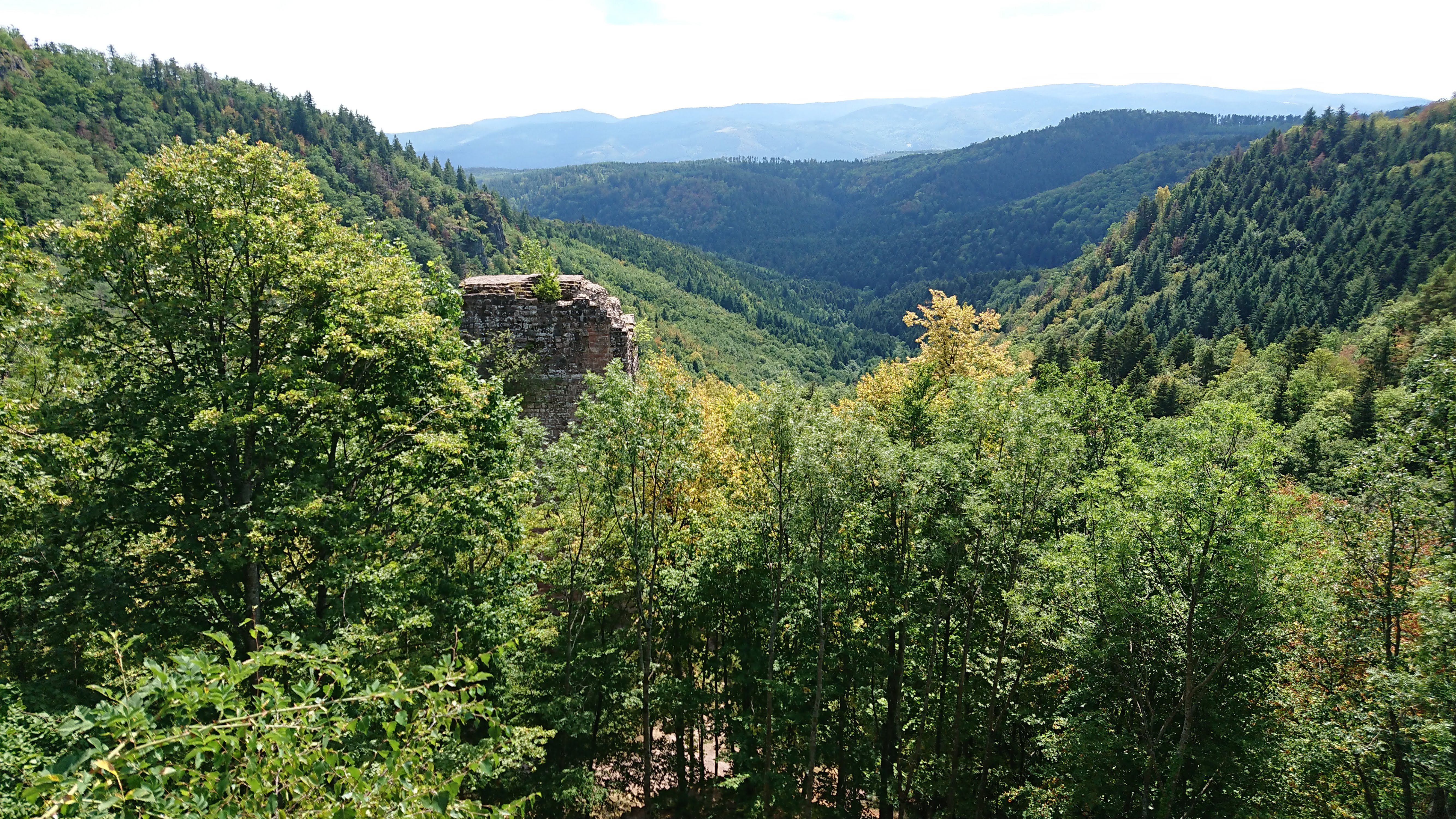 Photo n° 1 de l'avis de Arnaud.e fait le 06/08/2018 à 07:59