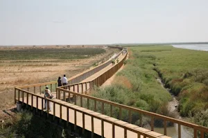 Parque Linear Ribeirinho Estuário do Tejo image