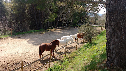 Poney Club Desportis à Cadenet