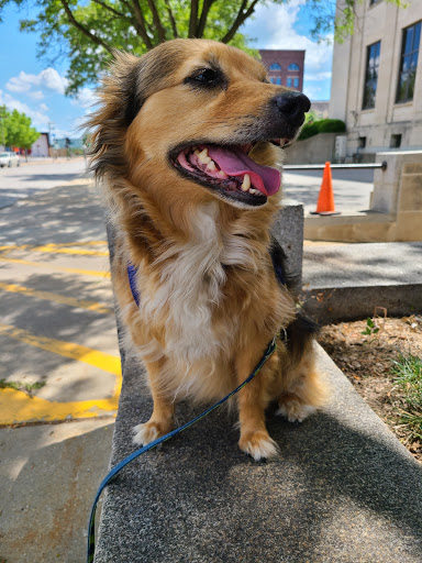 Pet Supply Store «Brown Dog Bakery», reviews and photos, 2310 SE Delaware Ave, Ankeny, IA 50021, USA