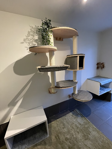 Comments and reviews of Acaster Boarding - Luxury Cattery