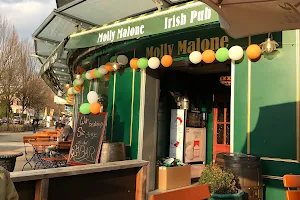 Molly Malone Irish Pub Wetzikon image