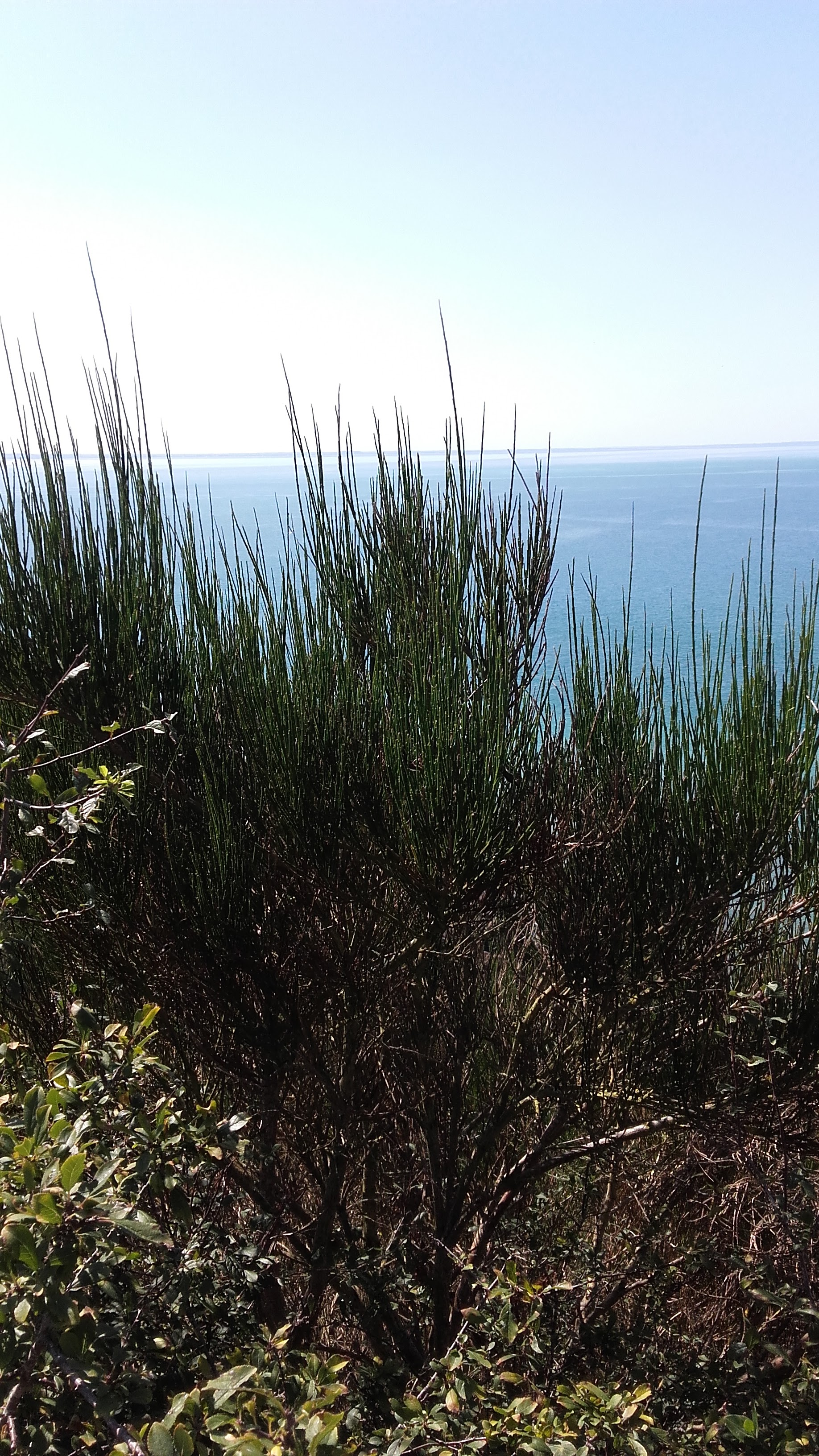 Photo n° 2 de l'avis de Damiana.a fait le 02/09/2018 à 13:03