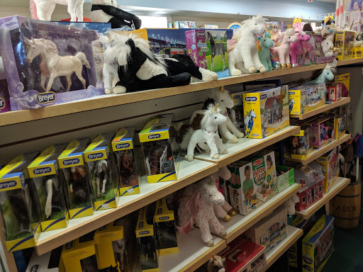 Toy Store «Toy Harbor», reviews and photos, 221 E Front St, Traverse City, MI 49684, USA