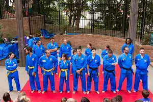 Vovinam Viet Vo Dao Les Lilas image