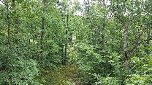 Tourist Attraction «ZipZone Canopy Tours», reviews and photos, 7925 N High St, Columbus, OH 43235, USA