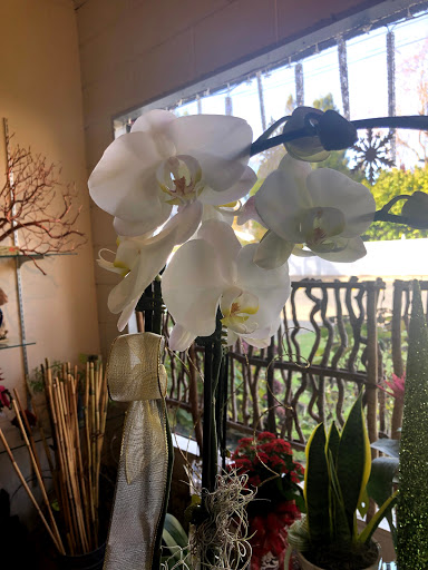 Florist «Grohe Florists», reviews and photos, 1313 McDonald Ave, Santa Rosa, CA 95404, USA