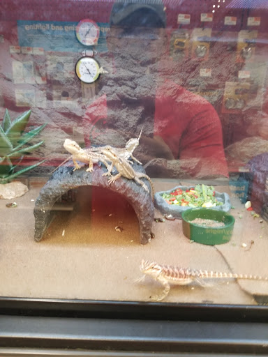 Pet Supply Store «Petco Animal Supplies», reviews and photos, 10383 Reisterstown Rd, Owings Mills, MD 21117, USA