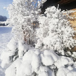 Photo n°2 de l'avis de luciano.u fait le 04/01/2024 à 10:49 sur le  Hotel Pfösl à Deutschnofen