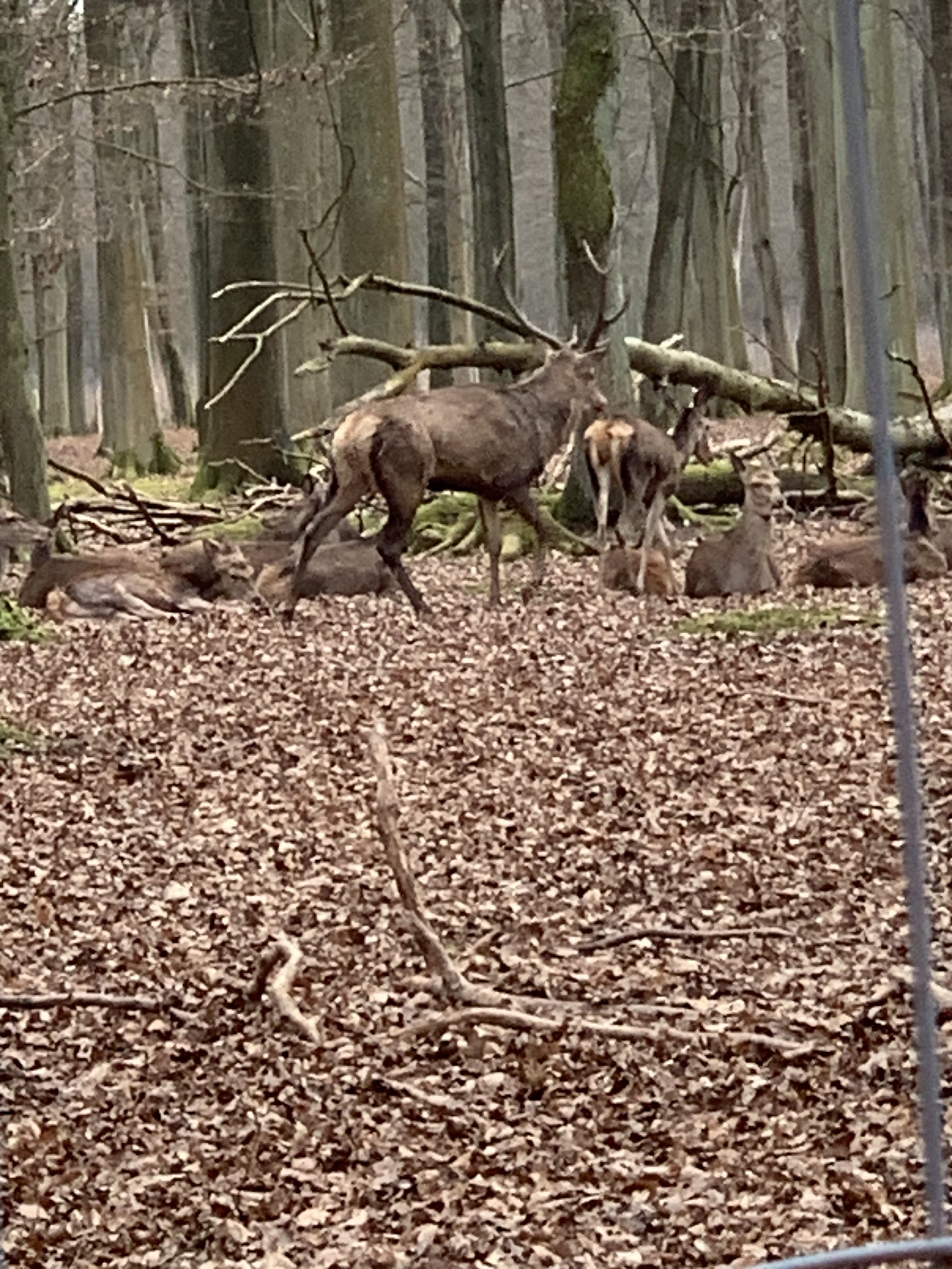 Photo n° 1 de l'avis de S... fait le 16/03/2023 à 19:36