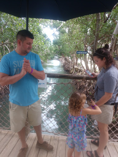 Aquarium «Florida Keys Aquarium Encounters», reviews and photos, 11710 Overseas Hwy, Marathon, FL 33050, USA