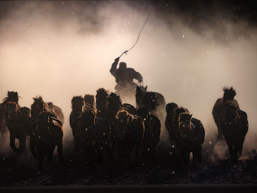 Art Gallery «National Geographic | Fine Art Galleries», reviews and photos, 607 E Las Olas Blvd, Fort Lauderdale, FL 33301, USA