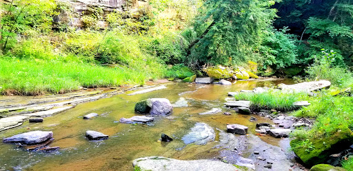 Tourist Attraction «Winsdor Mills Covered Bridge», reviews and photos, 7696 Warner Hollow Rd, Windsor, OH 44099, USA