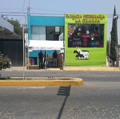 Farmacia Veterinaria Y Estetica Canina La Granja Blvd. Octaviano Flores Mayorga 9, 8va Demarcación, 42700 Mixquiahuala, Hgo. Mexico
