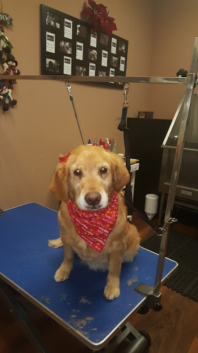 Pet Store «Pet Valu», reviews and photos, 2645 Shillington Rd, Sinking Spring, PA 19608, USA