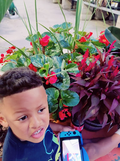 Home Improvement Store «The Home Depot», reviews and photos, 700 Broadview Village Square, Broadview, IL 60153, USA