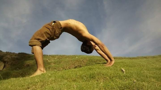 Alianza Yoga Americana Peru - Centro de yoga