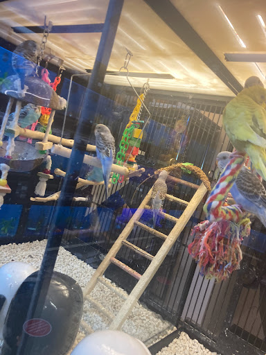 Pet Supply Store «PetSmart», reviews and photos, 2389 Taylor Park Dr, Reynoldsburg, OH 43068, USA