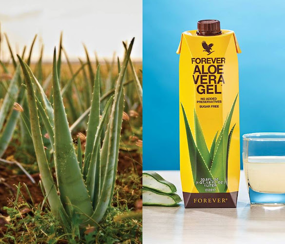 Produkty Forever Living v Žiline - Obchod so zdravou výživou