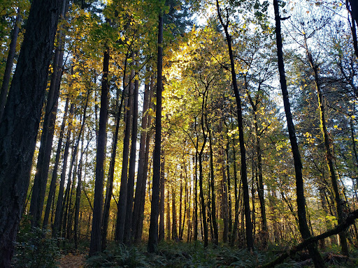 Park «Tualatin Hills Nature Park», reviews and photos, 15655 SW Millikan Way, Beaverton, OR 97006, USA