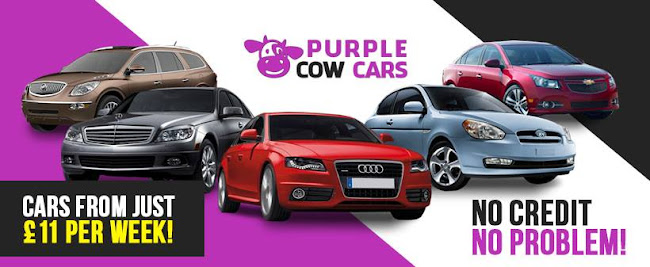 Purple Cow Cars